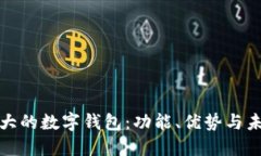 全球最大的数字钱包：功能、优势与未