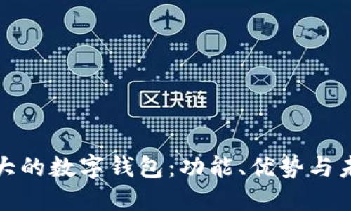 全球最大的数字钱包:功能、优势与未来趋势