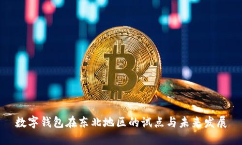 数字钱包在东北地区的试点与未来发展