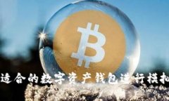 如何选择适合的数字资产钱包进行模拟