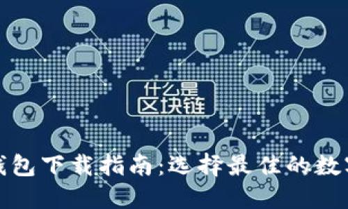 最安全的加密钱包下载指南:选择最佳的数字资产保护工具