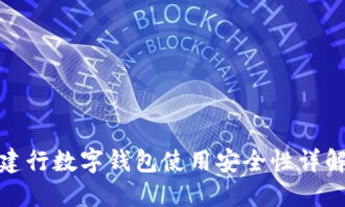 建行数字钱包使用安全性详解