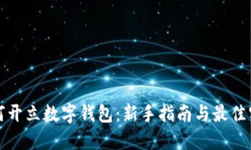 如何开立数字钱包：新手指南与最佳实践