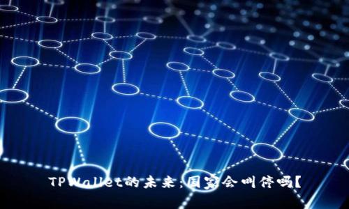 TPWallet的未来:国家会叫停吗?