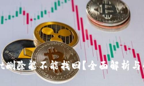 TPWallet删除能不能找回?全面解析与解决方案