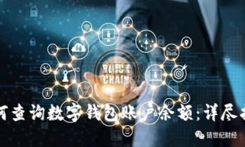 如何查询数字钱包账户余额:详尽指南