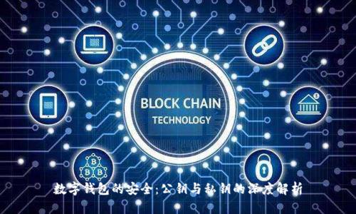 数字钱包的安全:公钥与私钥的深度解析
