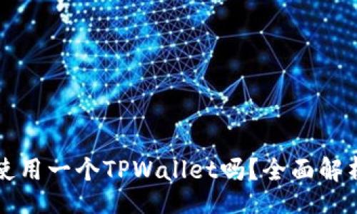 br
两个账户能同时使用一个TPWallet吗?全面解析与常见疑问解答
