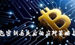 区块链钱包密钥丢失后的应对策略与解