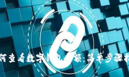 如何查看数字钱包余额:简单步骤指南