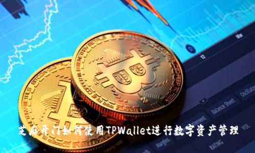 芝麻开门如何使用TPWallet进行数字资产管理
