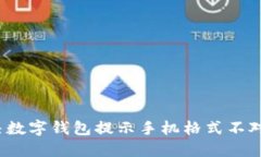 如何解决数字钱包提示手机格式不对的