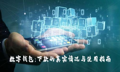 数字钱包:下款的真实情况与使用指南