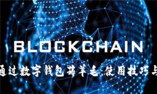 如何通过数字钱包薅羊毛:使用技巧与策略