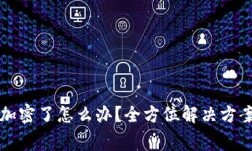 来特币钱包加密了怎么办?全方位解决方案与注意事项