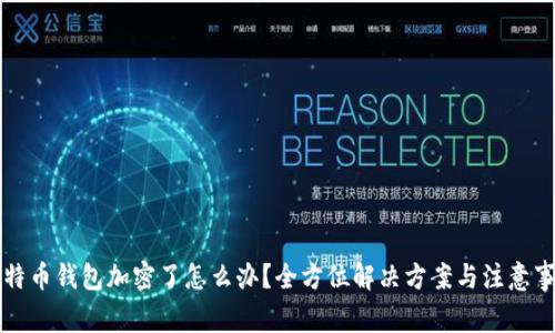 来特币钱包加密了怎么办?全方位解决方案与注意事项