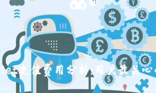 TPWallet充值费用分析:用户最关心的问题