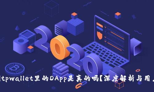 ziaotitpwallet里的DApp是真的吗?深度解析与用户体验