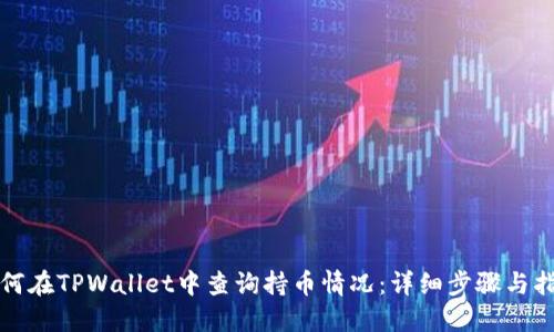 如何在TPWallet中查询持币情况:详细步骤与指南