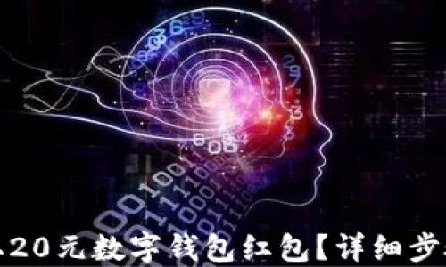 如何领取20元数字钱包红包?详细步骤与技巧