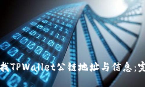 如何查找TPWallet公链地址与信息:完整指南