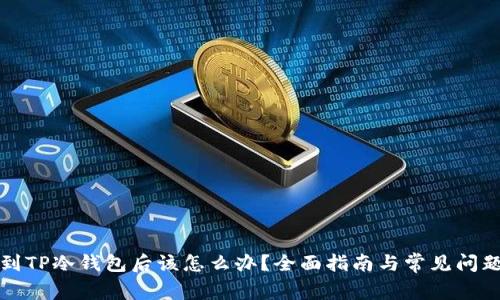提币到TP冷钱包后该怎么办?全面指南与常见问题解答