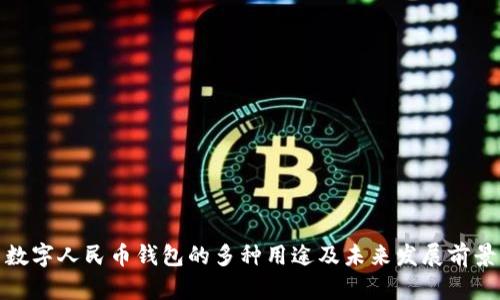 数字人民币钱包的多种用途及未来发展前景