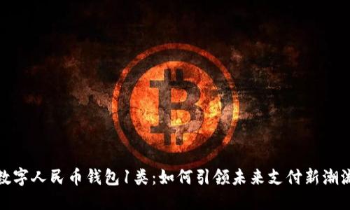 数字人民币钱包1类:如何引领未来支付新潮流
