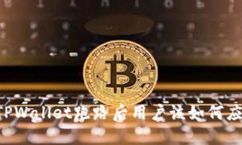 当TPWallet跑路后用户该如何应对？