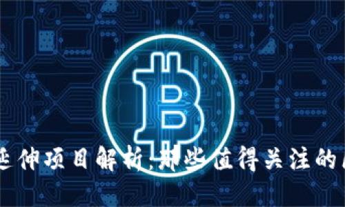 优质
TPWallet延伸项目解析:那些值得关注的区块链应用