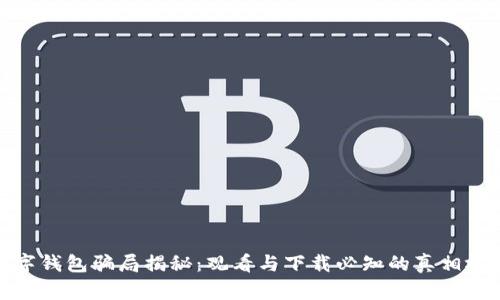 数字钱包骗局揭秘:观看与下载必知的真相视频