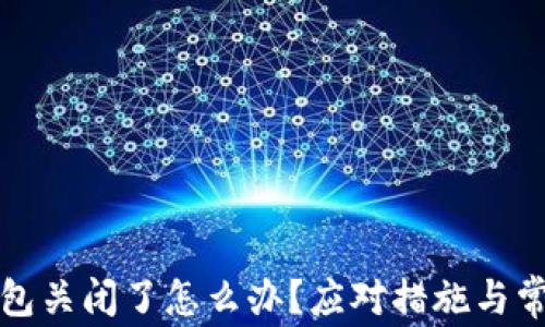 数字资产钱包关闭了怎么办?应对措施与常见问题解析