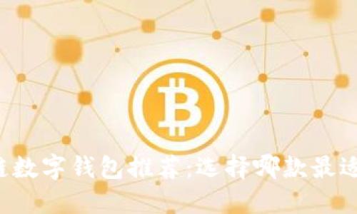 区块链数字钱包推荐：选择哪款最适合你？