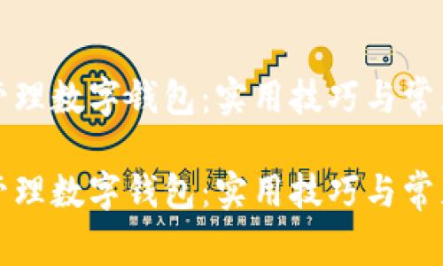 如何高效管理数字钱包:实用技巧与常见问题解答
如何高效管理数字钱包:实用技巧与常见问题解答
