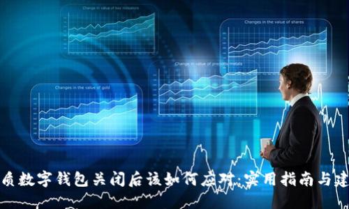 优质数字钱包关闭后该如何应对:实用指南与建议