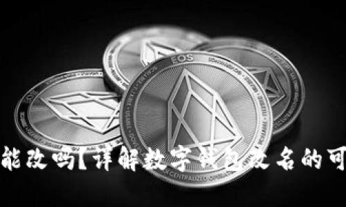 数字钱包ID能改吗？详解数字钱包改名的可能性与限制