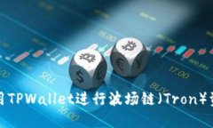 如何使用TPWallet进行波场链（Tron）资产