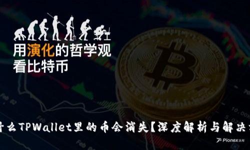 为什么TPWallet里的币会消失？深度解析与解决方案