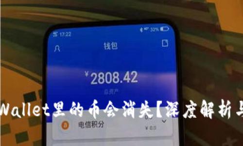为什么TPWallet里的币会消失？深度解析与解决方案