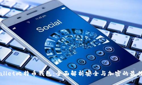 Dowallet比特币钱包:全面解析安全与加密的最佳实践