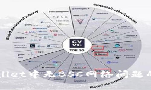 解决TPWallet中无BSC网络问题的全面指南