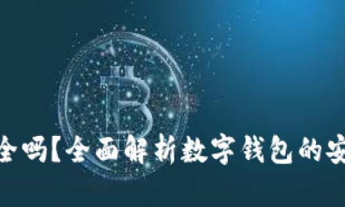 数字钱包安全吗？全面解析数字钱包的安全性与风险