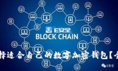 如何选择适合自己的数字加密钱包？全
