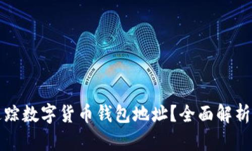 如何有效追踪数字货币钱包地址？全面解析与实用技巧