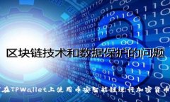 如何在TPWallet上使用币安智能链进行加