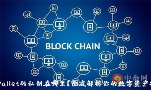   
TPWallet的私钥在哪里？彻底解析你的数字资产安全