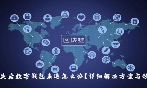 手机丢失后数字钱包未退怎么办?详细解决方案与预防措施