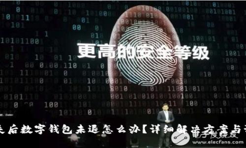 手机丢失后数字钱包未退怎么办?详细解决方案与预防措施