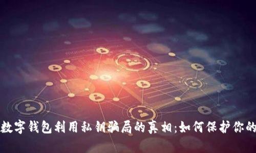揭开数字钱包利用私钥骗局的真相:如何保护你的资产