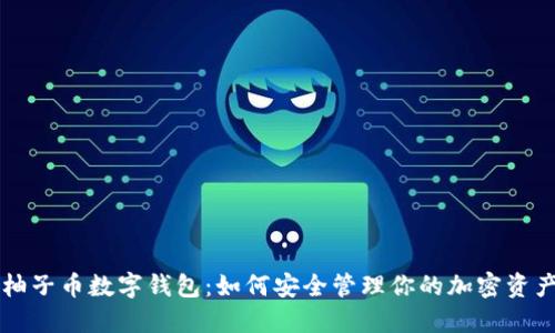 柚子币数字钱包:如何安全管理你的加密资产
